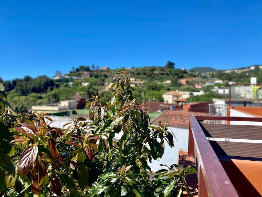 Cozy Apartament La Esperanza  Bagian luar foto